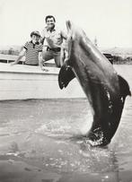 Harderwijk    Flipper, Ophalen of Verzenden, 1940 tot 1960, Gelopen, Gelderland