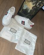 gucci ace sneakers, Wit, Nieuw, Ophalen of Verzenden, Gucci