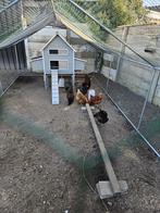Kippenren VERKOCHT, Dieren en Toebehoren, Pluimvee | Toebehoren, Ophalen, Zo goed als nieuw, Kippenhok of Kippenren