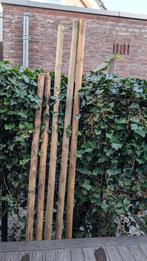 Boompalen 2 en 2.5 meter, Doe-het-zelf en Verbouw, Hout en Planken, Gebruikt, 200 tot 250 cm, 50 mm of meer, Balk