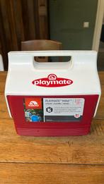 Igloo playmate 3,8 liter zgan, Ophalen of Verzenden, Zo goed als nieuw, Koelelement