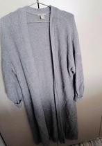 Grijs lang vest oversized, Verzenden, Maat 46/48 (XL) of groter, Hm, Zo goed als nieuw