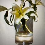 Design vaas met licht, merk: BLOOM, Ophalen