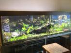 aquarium, Ophalen, Gebruikt, Leeg aquarium