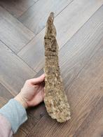 Wolharige neushoorn hoorn 40 cm, Ophalen of Verzenden, Fossiel