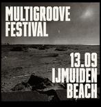 Multigroove festival 13/9 earlybird festival ticket, Eén persoon