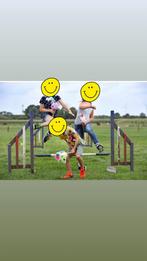 Hoogtesprongen agility, Dieren en Toebehoren, Ophalen, Gebruikt