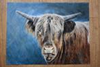 Schilderij Schotse Hooglander, ( 60 x 45 cm ), Ophalen, Oorspronkelijke maker, Nieuw, Schilderij