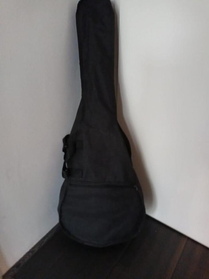 Richemond 6-snarige Banjo, Muziek en Instrumenten, Snaarinstrumenten | Banjo's, Gebruikt, Ophalen