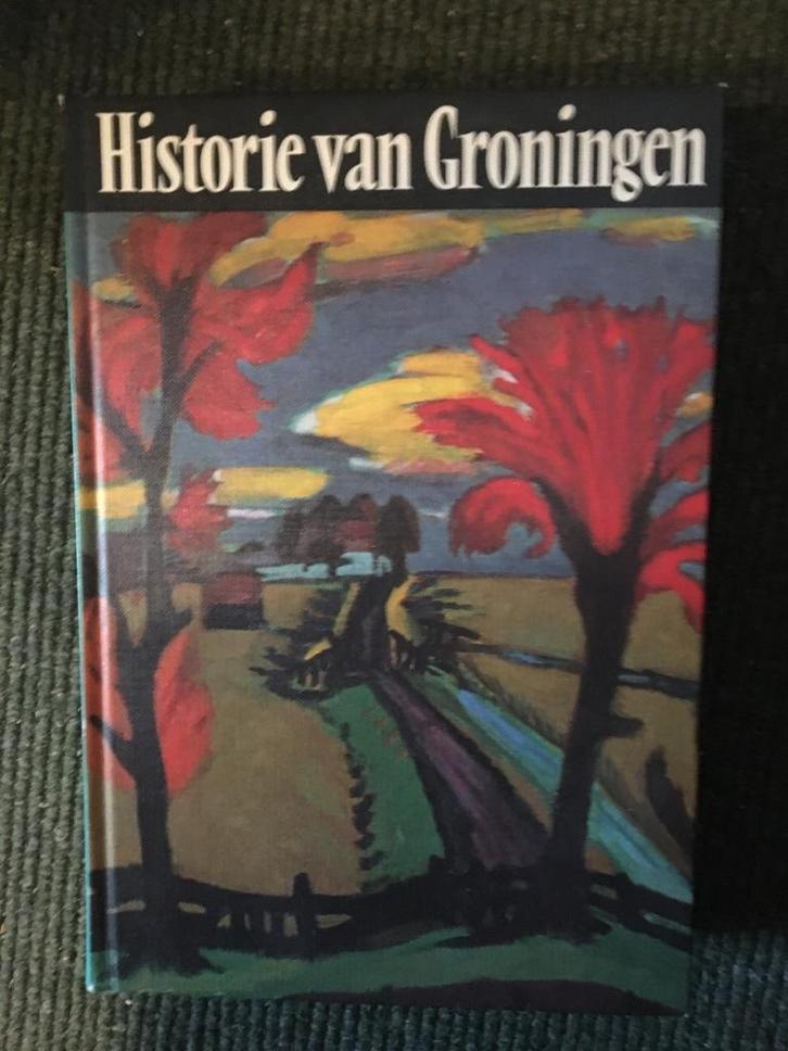 Historie van Groningen ; door Tjeenk Willink #Groningen, Boeken, Geschiedenis | Stad en Regio, Zo goed als nieuw, 20e eeuw of later