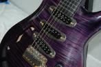 Custom PRS copy, Semi Hollow, Seymour duncan pick ups, Muziek en Instrumenten, Ophalen of Verzenden, Gebruikt, Elektrische gitaar