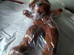 Teddybeer knuffel beer 100 cm Nieuw, Ophalen of Verzenden, Nieuw, Overige typen