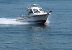 Grady White 7.20 mtr., Watersport en Boten, Ophalen, Gebruikt, Overige typen