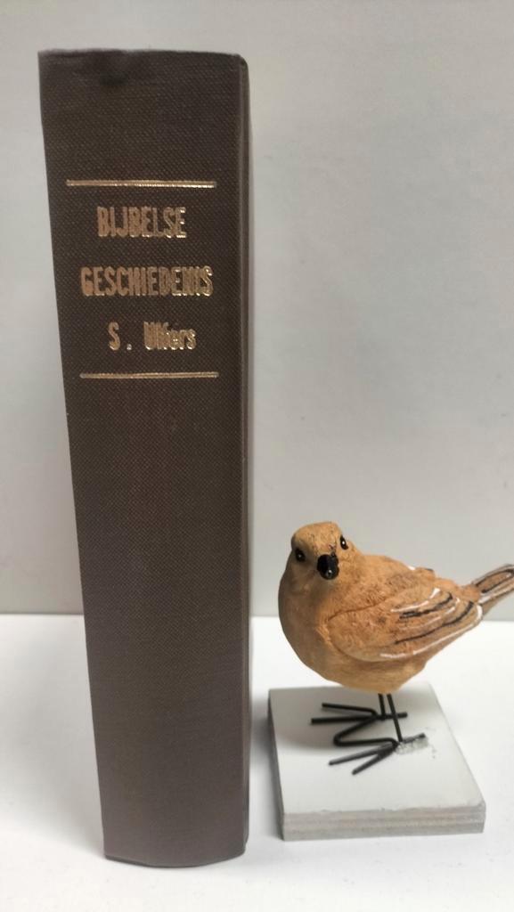 Ulfers, S.; De Bijbelse Geschiedenis, Boeken, Godsdienst en Theologie, Gelezen, Christendom | Protestants, Ophalen of Verzenden