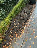 Gratis af te halen: zwarte grond - tuinaarde, Ophalen, Tuinaarde