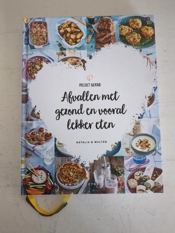 Project gezond - Afvallen met gezond en vooral lekker eten beschikbaar voor biedingen