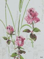 14068 romantisch vintage brocante rozen behang Swiet, Verzenden, 75 m² of meer, Roze