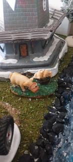 Varkens, Ophalen of Verzenden, Nieuw