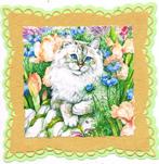 opleg poes, Hobby en Vrije tijd, Verzenden, Nieuw, Dieren, Blanco kaart of Basiskaart