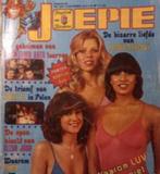 Gezocht: oude popmagazines, Verzamelen, Tijdschriften, Kranten en Knipsels, Ophalen, 1980 tot heden, Tijdschrift