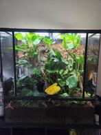 Terrarium 90x45x90, Dieren en Toebehoren, Ophalen, Gebruikt, Terrarium of Paludarium