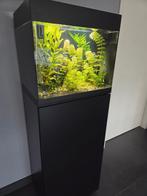 Aquarium topmerk Oase styleline 85, Ophalen, Zo goed als nieuw, Gevuld zoetwateraquarium