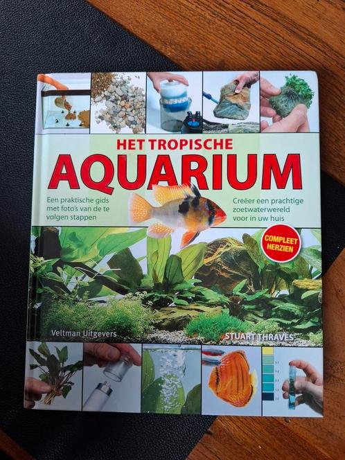 Stuart Thraves - Het tropische aquarium, Boeken, Dieren en Huisdieren, Zo goed als nieuw, Vissen, Ophalen of Verzenden