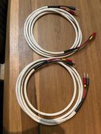Reference cable, full silver + AudioQuest banana 300 silver, Audio, Tv en Foto, Ophalen of Verzenden, Zo goed als nieuw, 2 tot 5 meter
