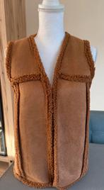 Mooie warme zgan bodywarmer, merk Fos Amsterdam maat S/M, Kleding | Dames, Ophalen of Verzenden, Zo goed als nieuw, Maat 38/40 (M)