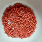 Antieke Bloedkoraal Kralen - 54 gram, Verzenden, Overige materialen, Ketting