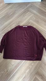 Schumacher trui maat M als nieuw!!!, Kleding | Dames, Ophalen of Verzenden, Zo goed als nieuw, Maat 38/40 (M)