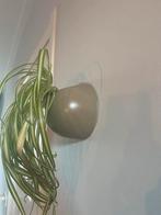 Presenttime Hangende Bloempot - Muurdecoratie, Rond, Ophalen of Verzenden, Aardewerk, Binnen