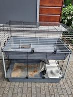 caviakooi, Dieren en Toebehoren, Knaagdieren en Konijnen | Hokken en Kooien, Ophalen, Kooi, Gebruikt, 90 cm of meer
