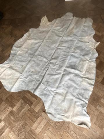 koeienkleed/ koeienhuid beschikbaar voor biedingen
