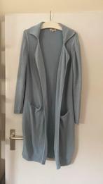 Blauw vest, Ophalen of Verzenden, Zo goed als nieuw, Blauw