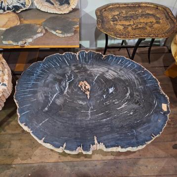 Salon/bijzet tafels versteend hout beschikbaar voor biedingen