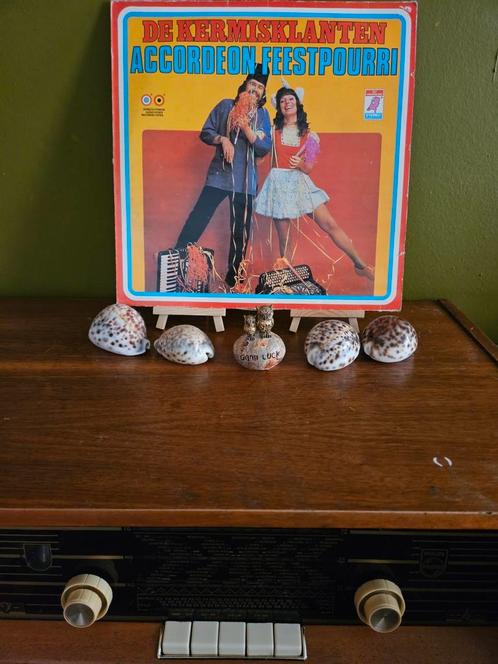 Lp vinyl De kermisklanten accordeon feestpourri, Cd's en Dvd's, Vinyl | Latin en Salsa, Gebruikt, Ophalen of Verzenden