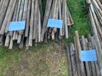 Fruitboompalen 3 lengtes, Ophalen of Verzenden, Gebruikt, Overige typen