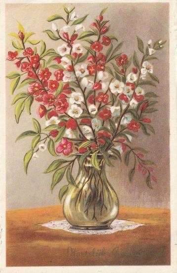 BLOEM BLOEMEN  UIT 1960 ZEER MOOI OUDE KAART KH429 beschikbaar voor biedingen
