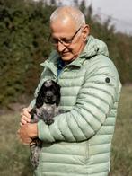 Gezocht dame voor gezelligheid door man.