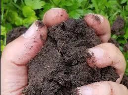 Gecomposteerde zuivere paardenmest (Pernis), Tuin en Terras, Aarde en Mest, Ophalen of Verzenden