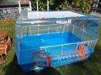 Ferplast hamsterkooi, Dieren en Toebehoren, Knaagdieren en Konijnen | Hokken en Kooien, Kooi, Minder dan 75 cm, Zo goed als nieuw