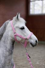 halster set pony, Dieren en Toebehoren, -, Verzenden, -, -