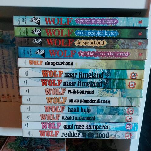 Verschillende delen Wolf boeken scherpe prijs ook per stuk, Boeken, Kinderboeken | Jeugd | 10 tot 12 jaar, Gelezen, Ophalen of Verzenden