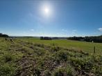 GEZOCHT: landbouwgrond regio nijmegen/maas en waal, Dieren en Toebehoren