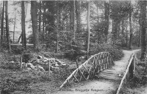 (387-158-023) Ellecom Bruggetje Avegoor, Verzamelen, Ansichtkaarten | Nederland, Gelderland, Verzenden