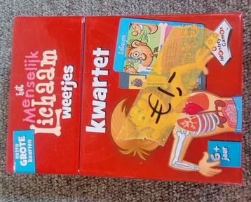 Menselijk Lichaam Kwartet - Educatief Spel beschikbaar voor biedingen
