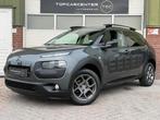 Citroen C4 Cactus 1.2 PureT Shine/CAMERA/PARKS/NAVI/APK/NAP, Lichtsensor, Euro 6, 82 pk, 23 km/l