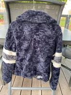 Dames winterjas merk Giacomo maat M, Ophalen of Verzenden, Zo goed als nieuw, Maat 38/40 (M), Blauw