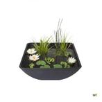 Mini pond 75x75x35, Ophalen of Verzenden, Zo goed als nieuw